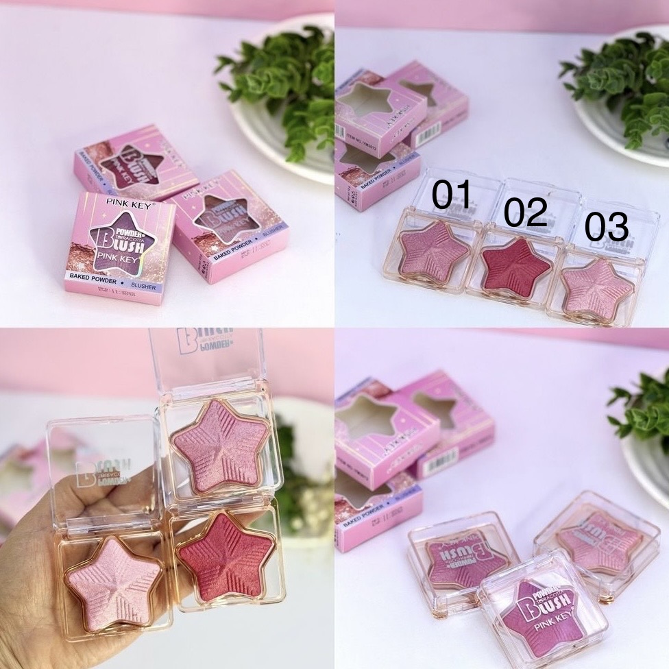 رژ گونه ستاره ای PINK KEY